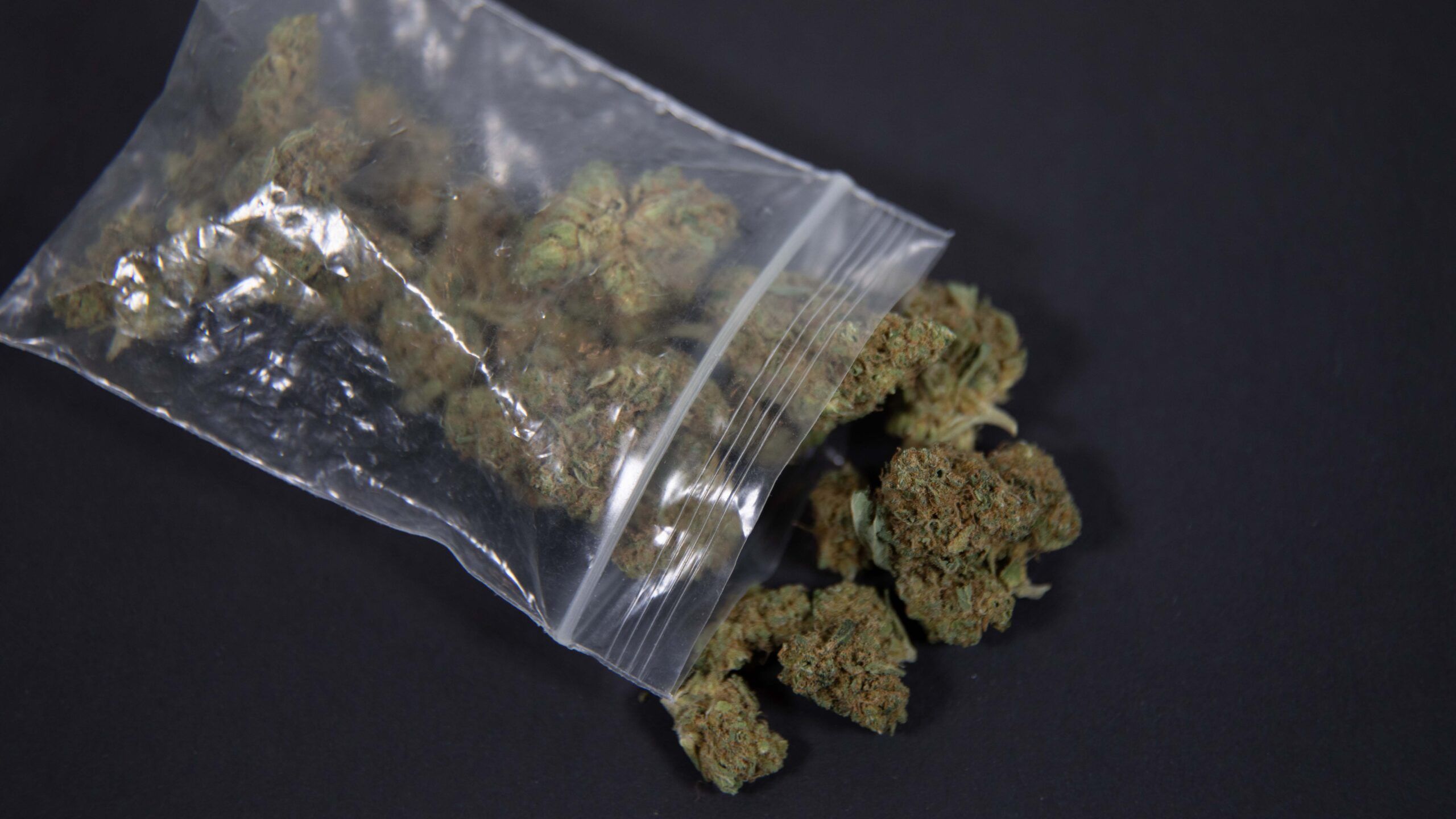 Privacy Matters: How Safe Is Your Info in Cannabis Rewards Programs?